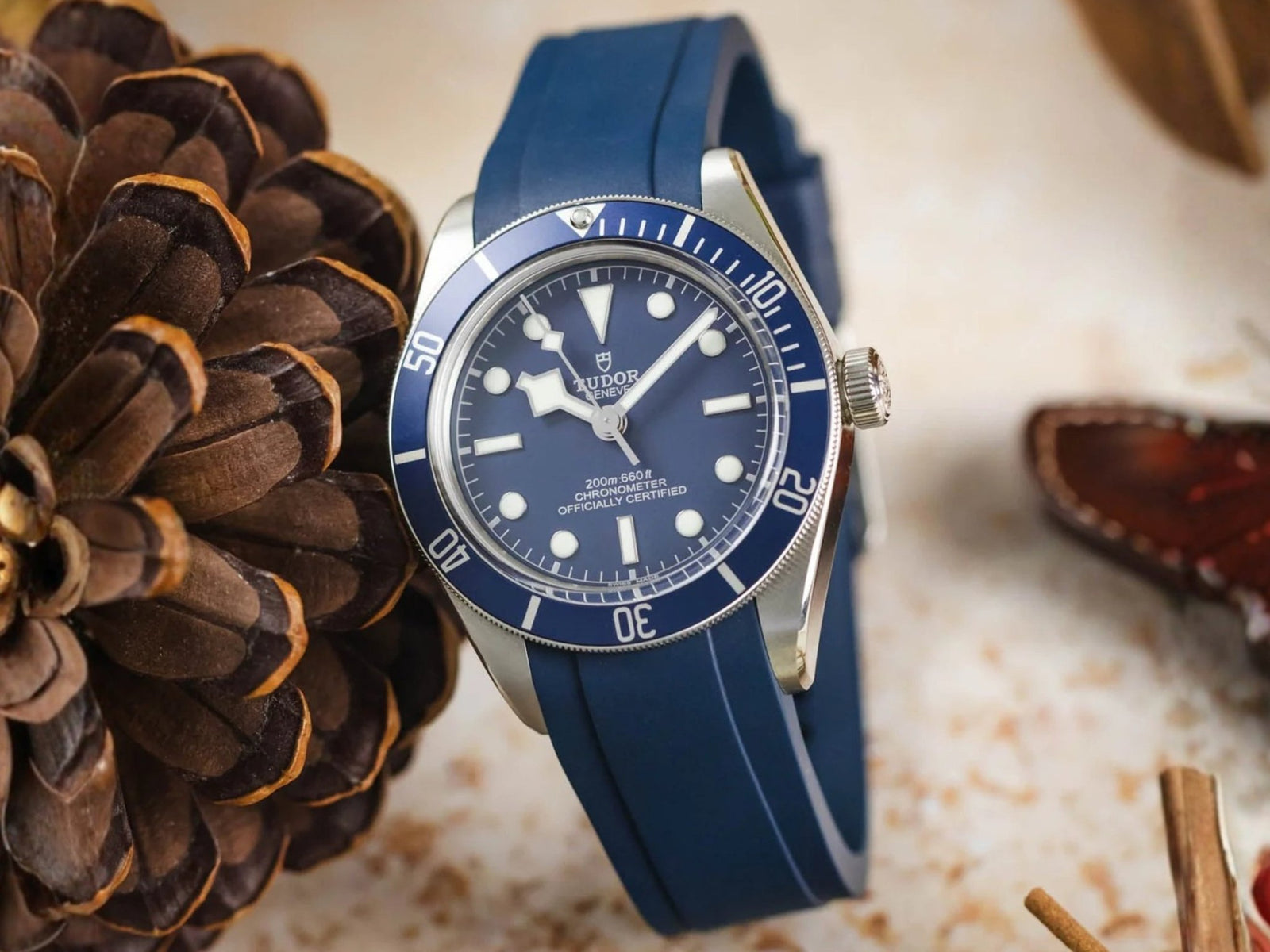 Tudor Black Bay Fifty-Eight Navy Blue 79030B Strap Guide - Helvetus